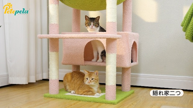 Amazon | PETEPELA(ぺテぺラ) キャットタワー 大型猫用 コンパクト